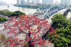 5C漖P湽s?妶旅YT鶶q摥1I埃`?的简单介绍-超凡app下载